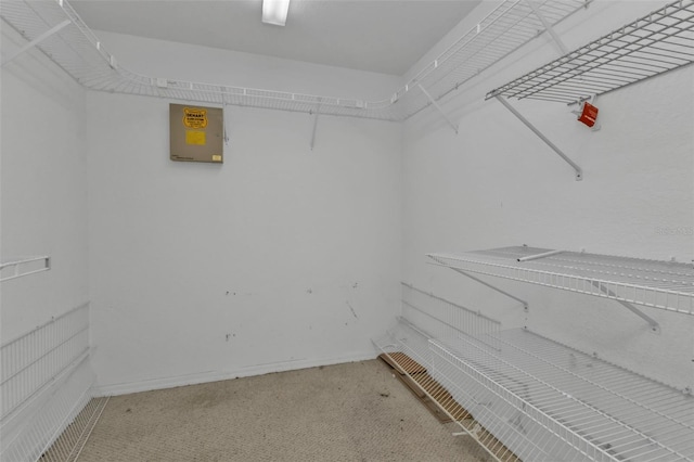 walk in closet featuring carpet