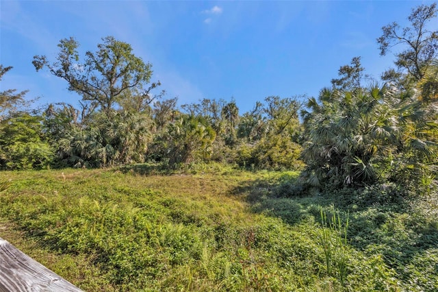 1811 Music Ln, North Port, FL 34286 - view of woods