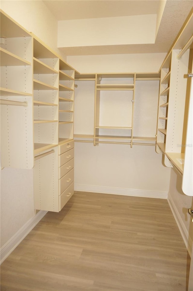 spacious closet with hardwood / wood-style floors