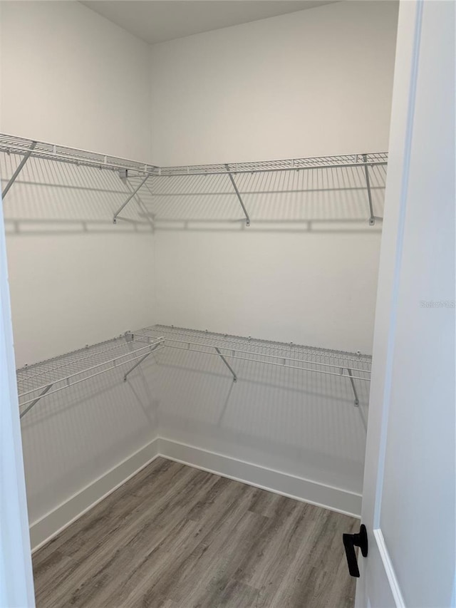 spacious closet featuring hardwood / wood-style flooring