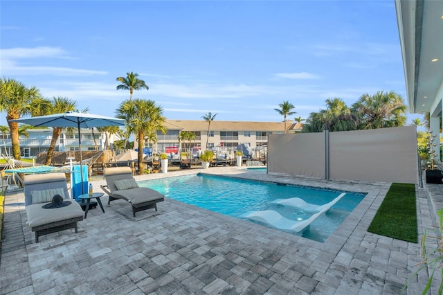 view of pool featuring a patio area