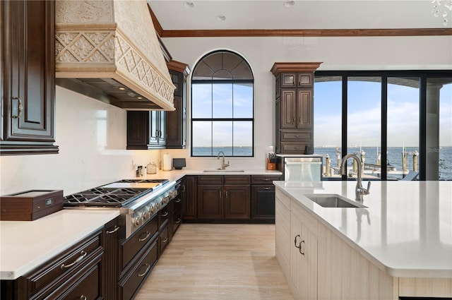 kitchen with a water view, premium range hood, sink, and ornamental molding