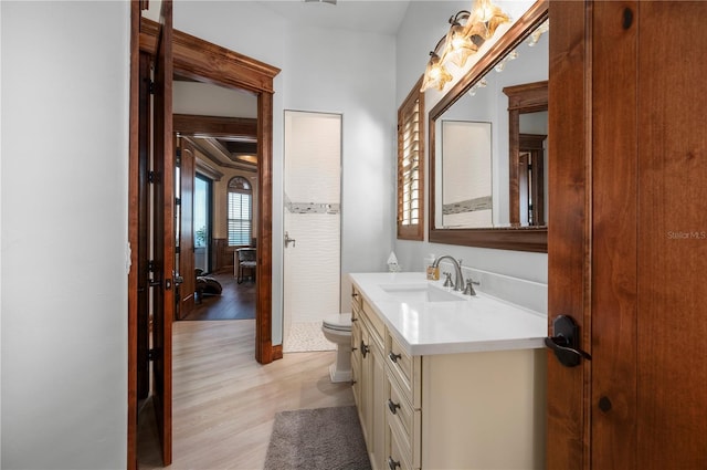 bathroom with hardwood / wood-style floors, vanity, and toilet