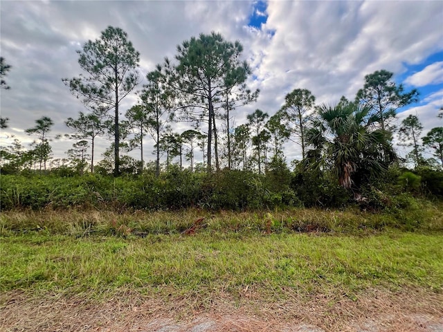 467 Hanscom St, Port Charlotte FL, 33953 land for sale