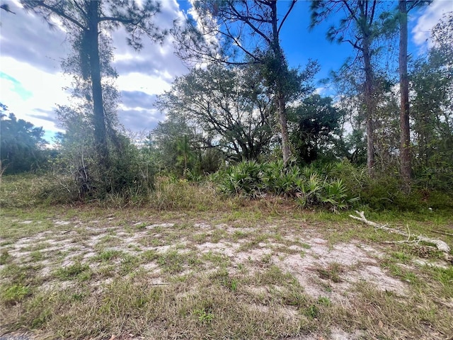 1123 Bowman Ter, Port Charlotte FL, 33953 land for sale