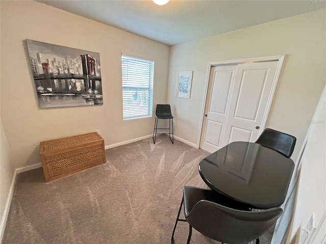 living area featuring carpet flooring