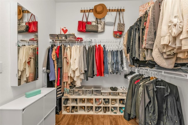 spacious closet featuring wood-type flooring