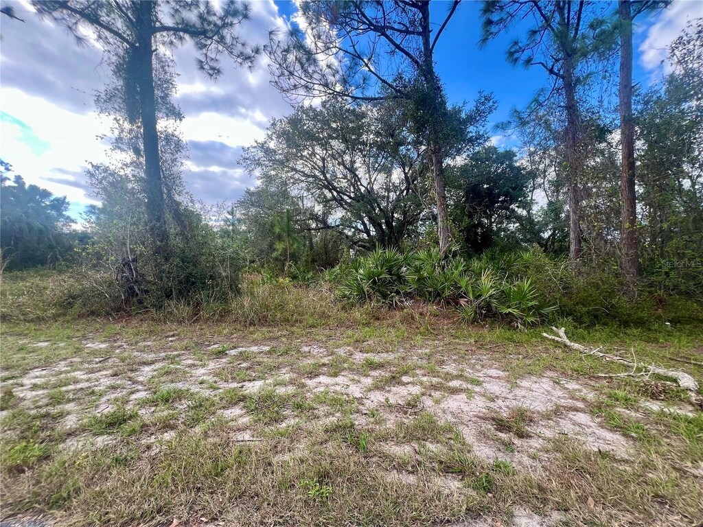95 Harvey St, Port Charlotte, FL 33954 - photo 1