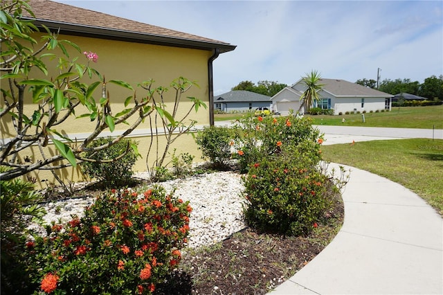 view of yard with driveway