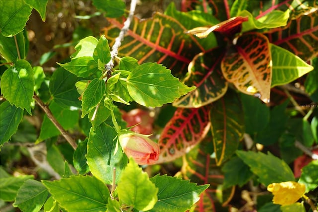 view of details