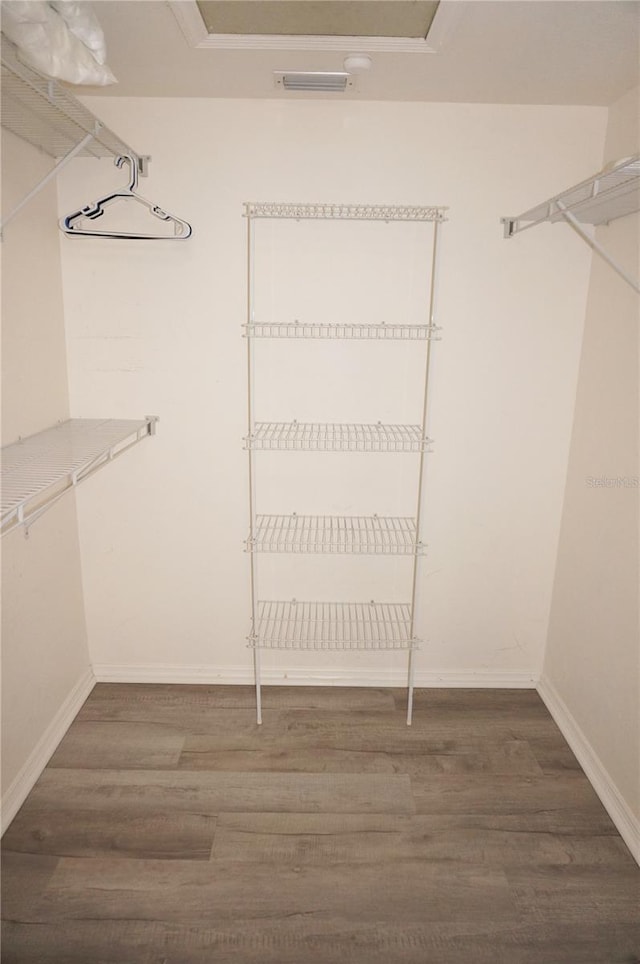 spacious closet featuring wood-type flooring