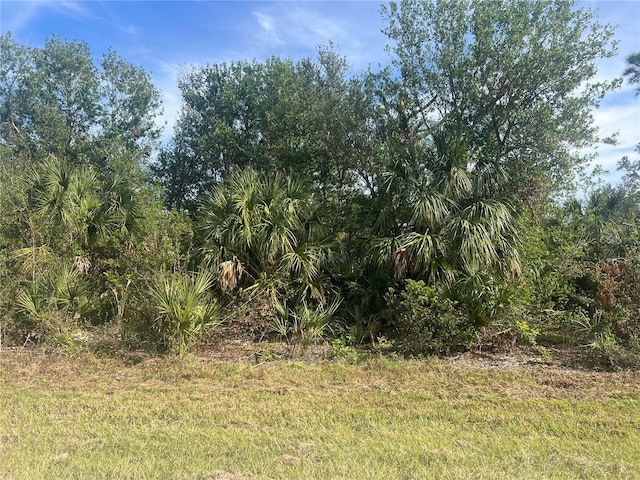 7002 Princeton St, Port Charlotte FL, 33981 land for sale