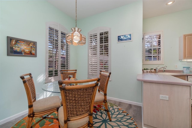 10494 Princess Ct, Punta Gorda, FL 33955 - dining space featuring wood finished floors, plenty of natural light, and recessed lighting