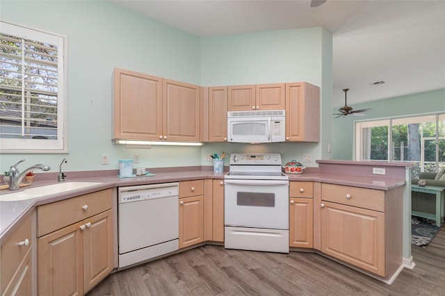 kitchen featuring light brown cabinetry, sink, white appliances, and light wood-type flooring