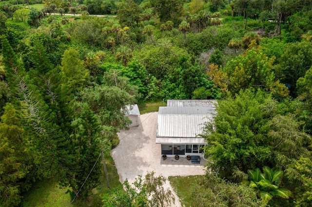 17780 Caloosa Rd, Alva, FL 33920 - view of subject property with a forest