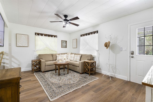 living room featuring ceiling fan and wood-type flooring