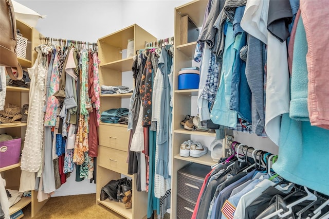 spacious closet with carpet floors