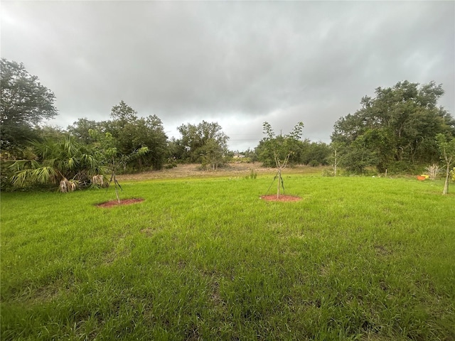 507 San Ambrosio St, Punta Gorda, FL 33983 - photo 7