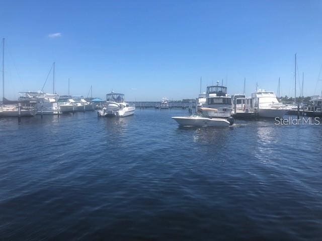 view of water feature with a boat dock