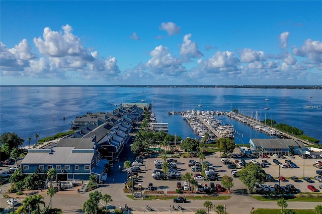 birds eye view of property with a water view