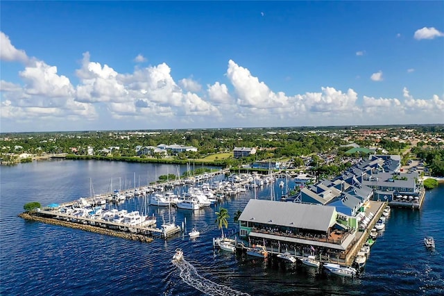 drone / aerial view with a water view