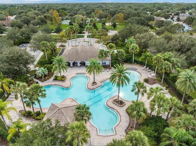 view of swimming pool