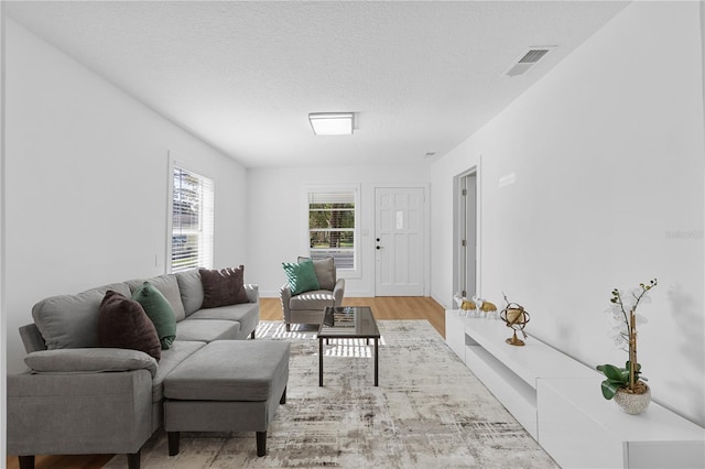 living area featuring visible vents, a textured ceiling, and wood finished floors