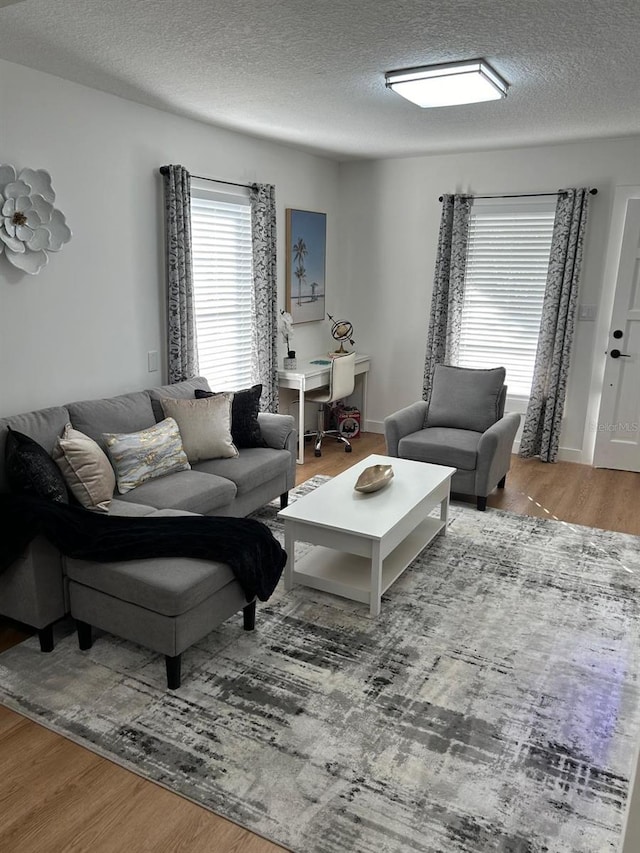 living area featuring a textured ceiling and wood finished floors