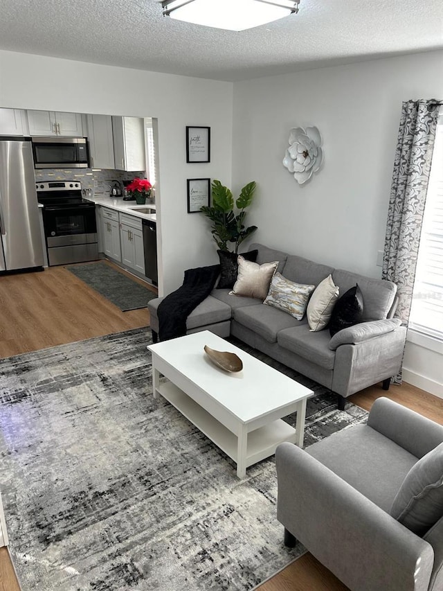 living area featuring wood finished floors and a textured ceiling