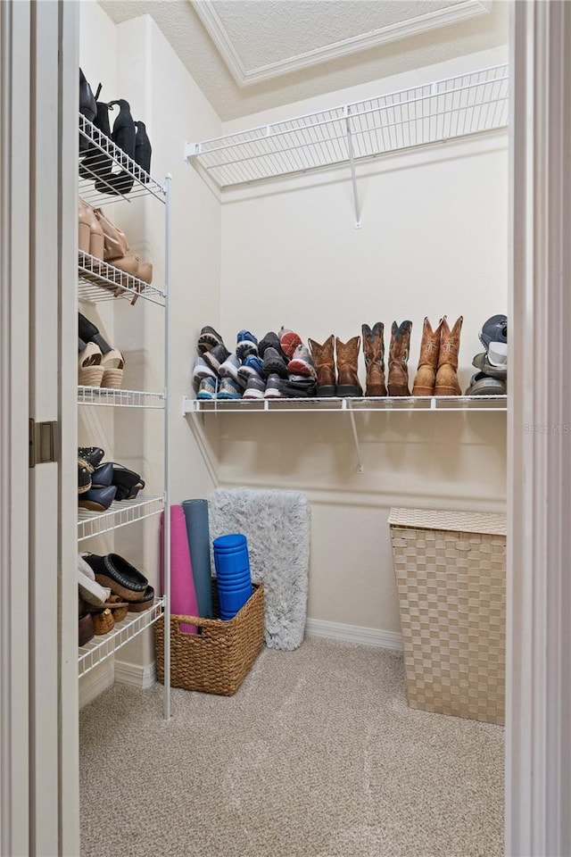 spacious closet featuring carpet flooring