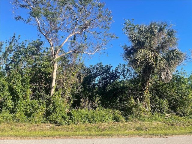 26516 Flower Rd, Punta Gorda FL, 33955 land for sale