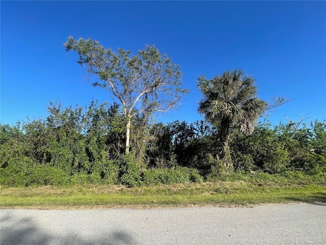 Listing photo 2 for 26516 Flower Rd, Punta Gorda FL 33955