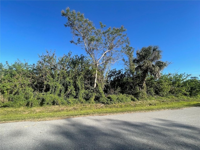 Listing photo 3 for 26516 Flower Rd, Punta Gorda FL 33955