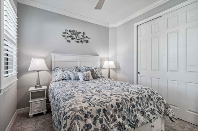 bedroom featuring ceiling fan, dark carpet, ornamental molding, and a closet