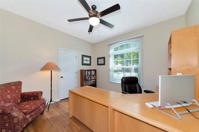 office area with ceiling fan and light hardwood / wood-style flooring