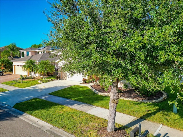 obstructed view of property with a front lawn