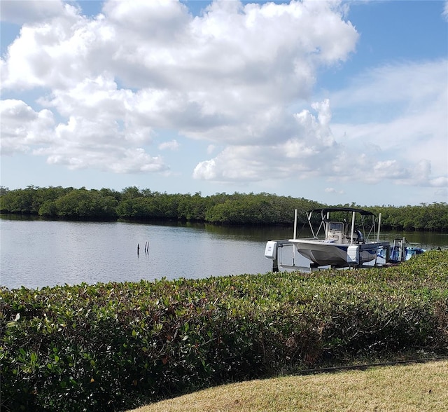 dock area featuring a water view