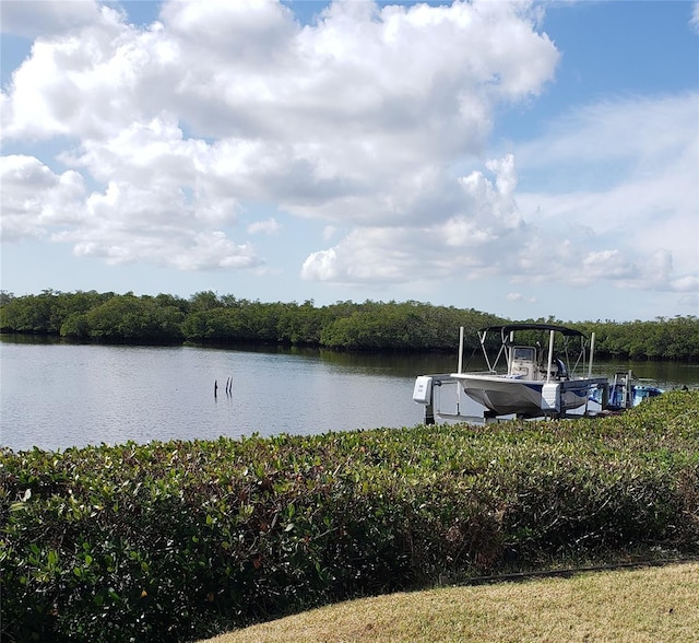 dock area featuring a water view