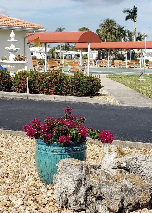 view of community
