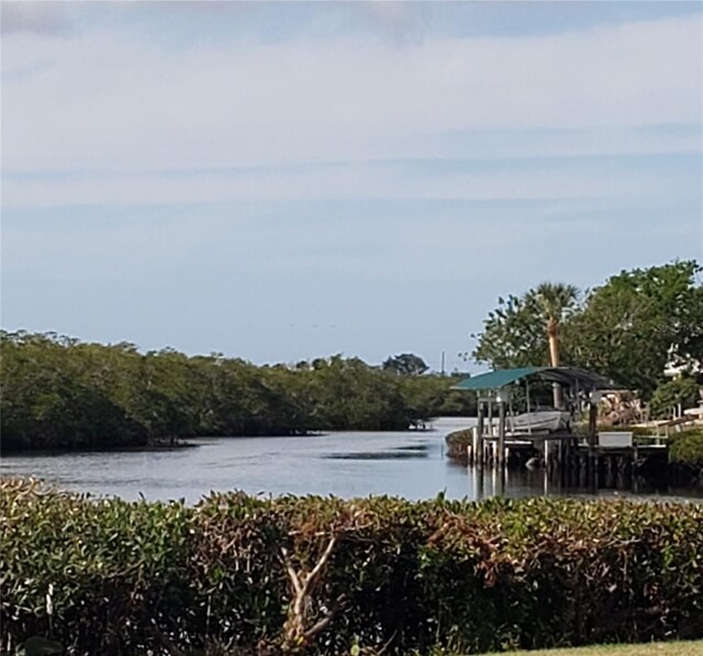 water view featuring a boat dock