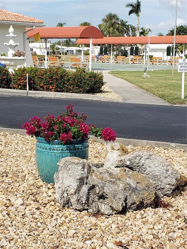 view of community