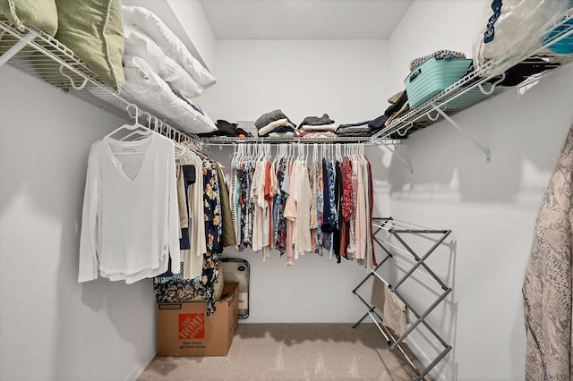 walk in closet with carpet