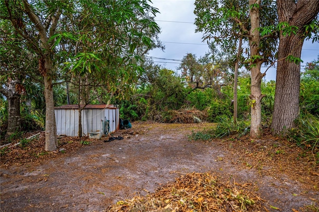 view of yard featuring a storage unit