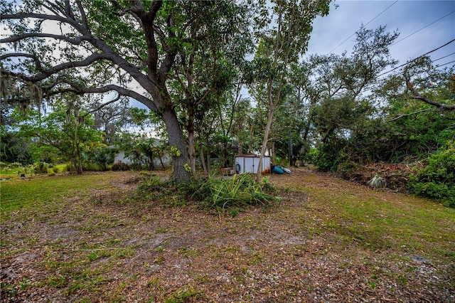 view of yard featuring a storage shed