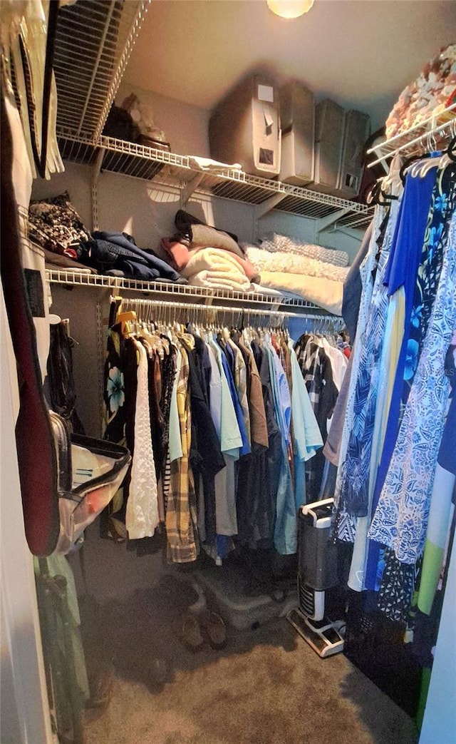 spacious closet with carpet floors