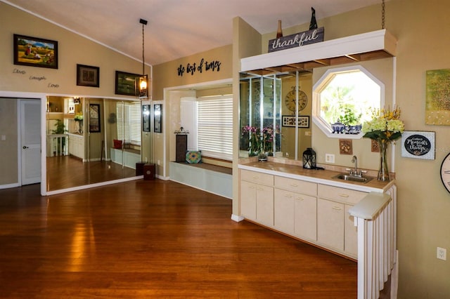 kitchen with dark hardwood / wood-style floors, sink, hanging light fixtures, and vaulted ceiling