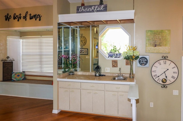 kitchen featuring white cabinets, dark wood-type flooring, and sink