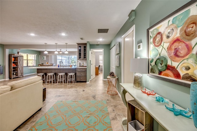 living room featuring sink