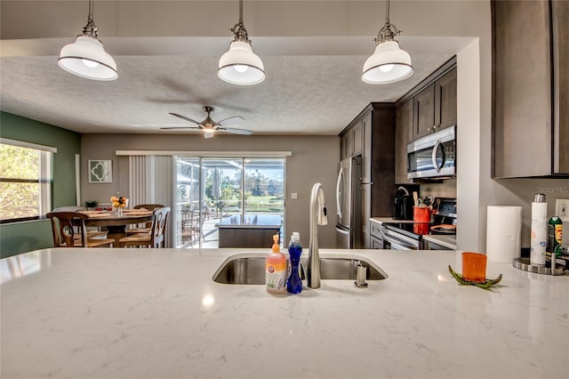 kitchen with dark brown cabinets, a healthy amount of sunlight, decorative light fixtures, and appliances with stainless steel finishes