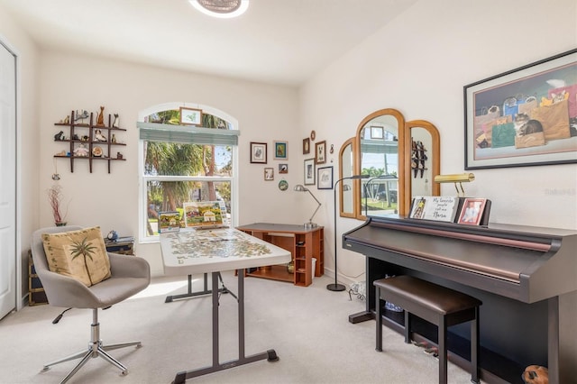 view of carpeted home office